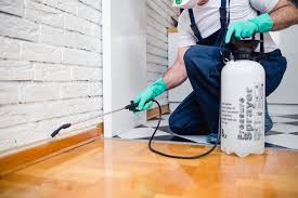 Best Fumigation Services  in Patchogue, NY